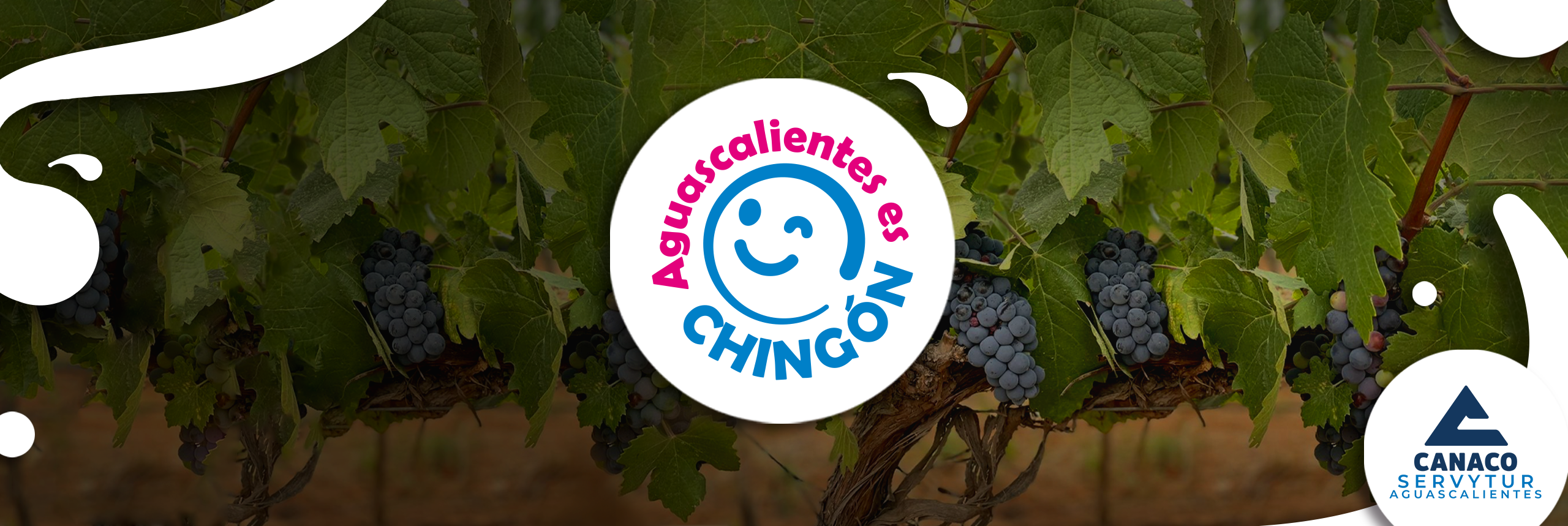 Banner Principal Canaco