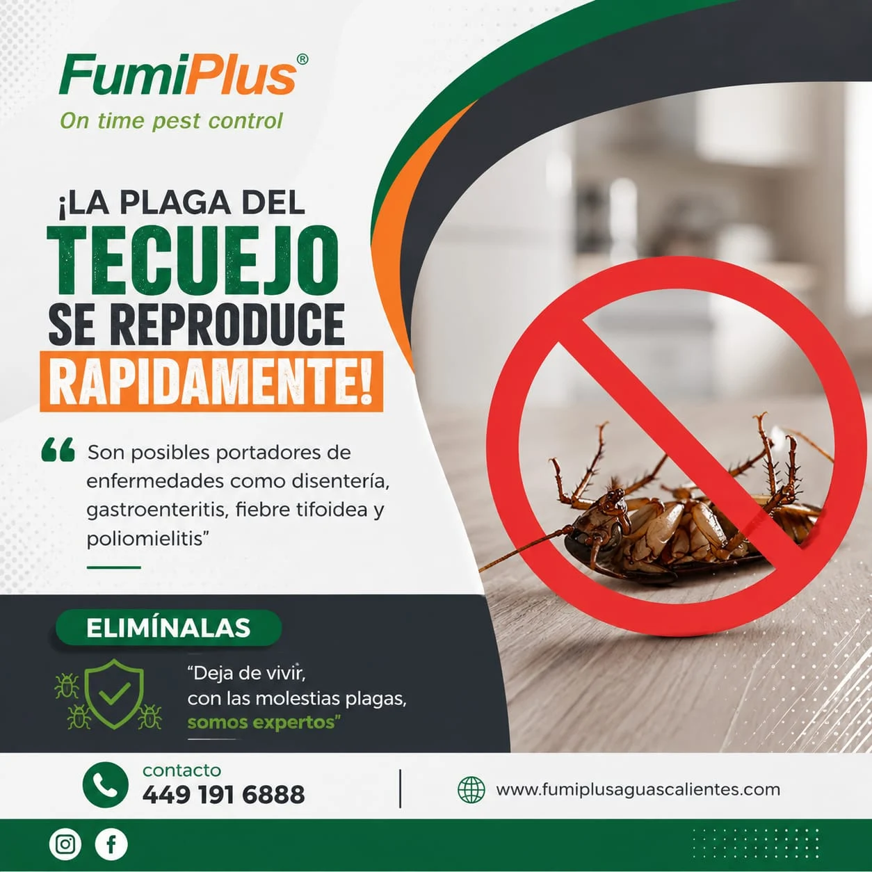 SERVICIO PROFESIONAL DE CONTROL DE PLAGAS